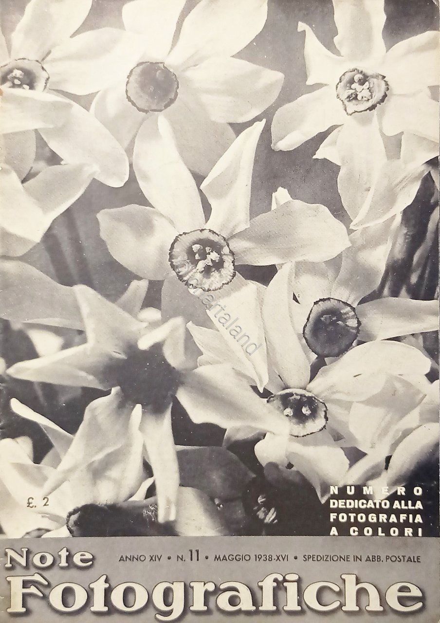 Rivista di Fotografia e Cinematografia Agfa - Note Fotografiche N. …