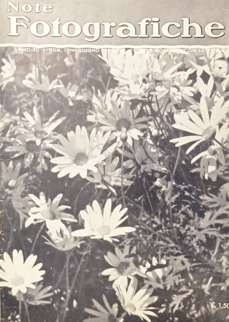 Rivista di Fotografia e Cinematografia Agfa - Note Fotografiche N. …