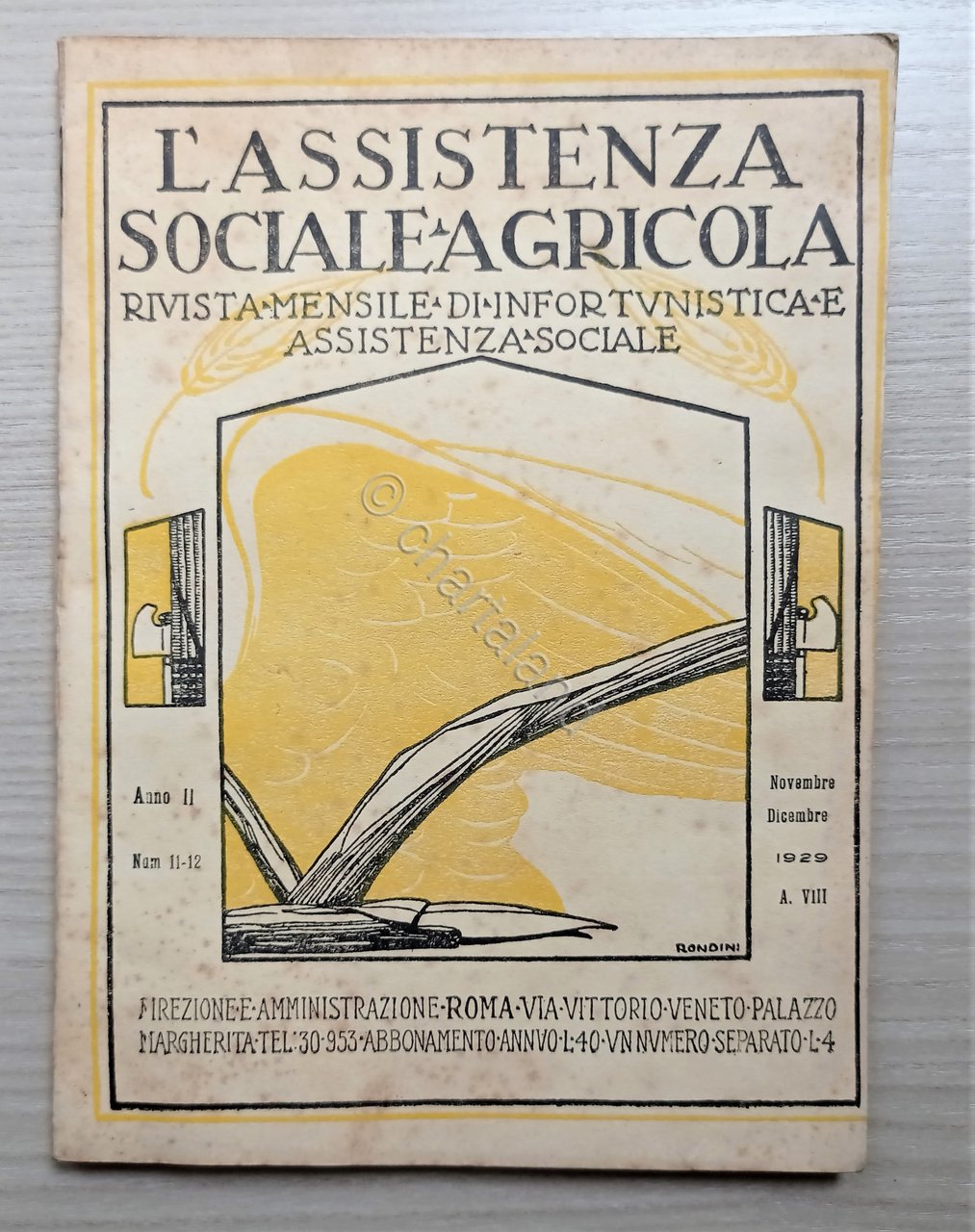 Rivista di Infortunistica - L'Assistenza Sociale-Agricola N. 11/12 - 1929