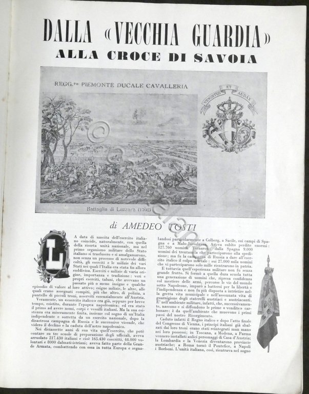 Rivista Il Superfluo Illustrato - Anno I - N. 1 … | Immagine Gallery 2