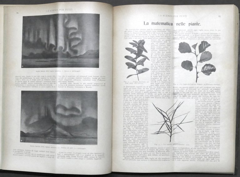 Rivista La Scienza per Tutti - Anno XVI completo - … | Immagine Gallery 4