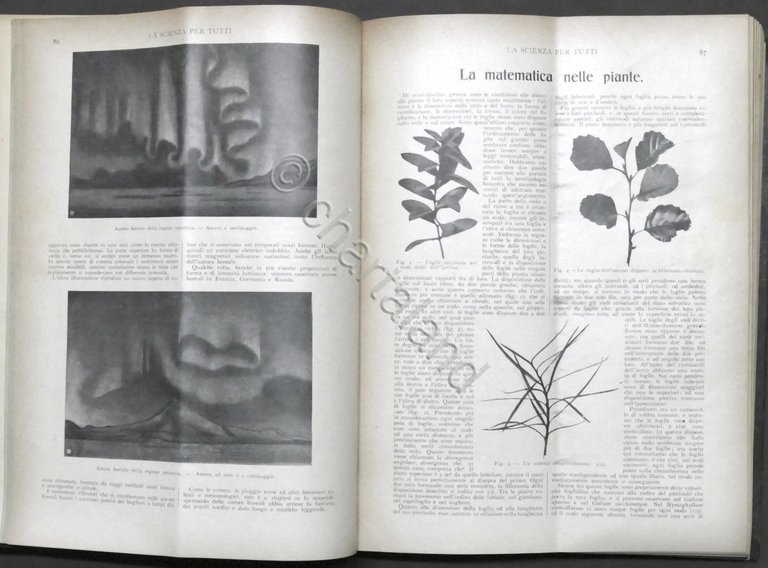 Rivista La Scienza per Tutti - Anno XVI completo - … | Immagine Gallery 6