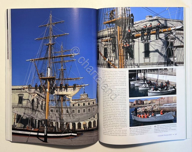 Rivista Militaria - Coccarde Tricolori 2017 - RN Publishing