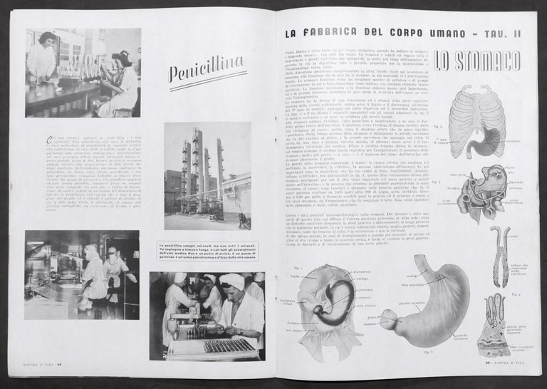 Rivista Natura e Vita - Anno I completo - 6 …