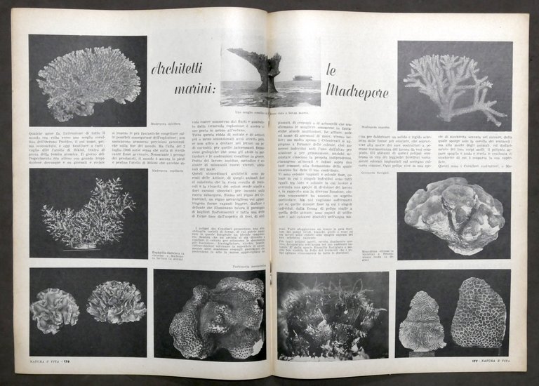 Rivista Natura e Vita - Anno II completo - 5 …