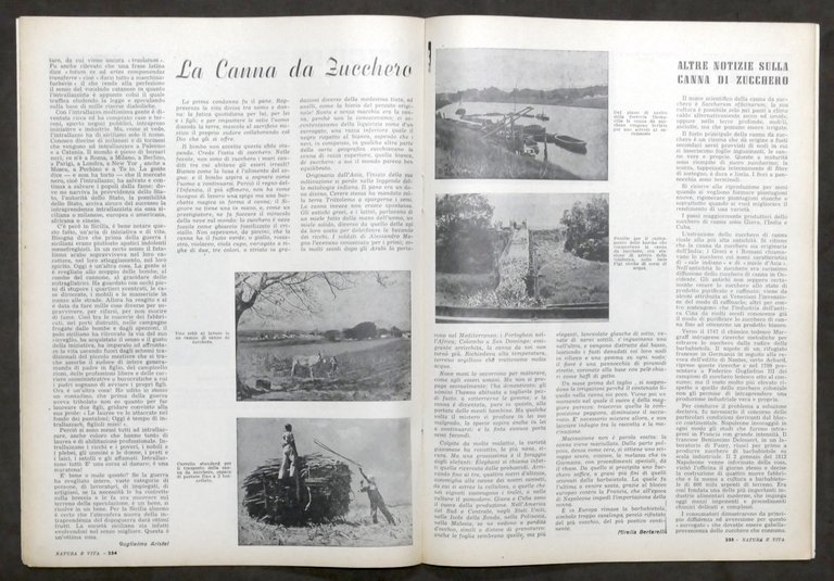 Rivista Natura e Vita - Anno II completo - 5 …