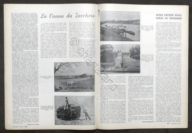 Rivista Natura e Vita - Anno II completo - 5 …