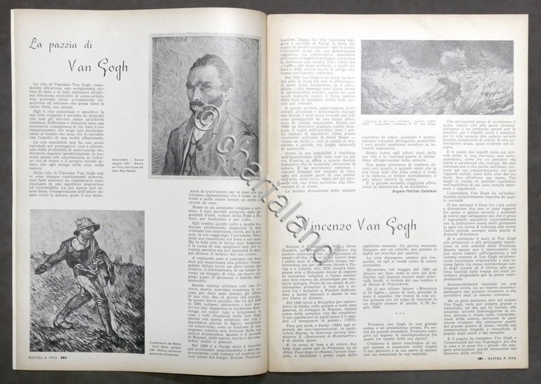 Rivista Natura e Vita - Anno II completo - 5 …