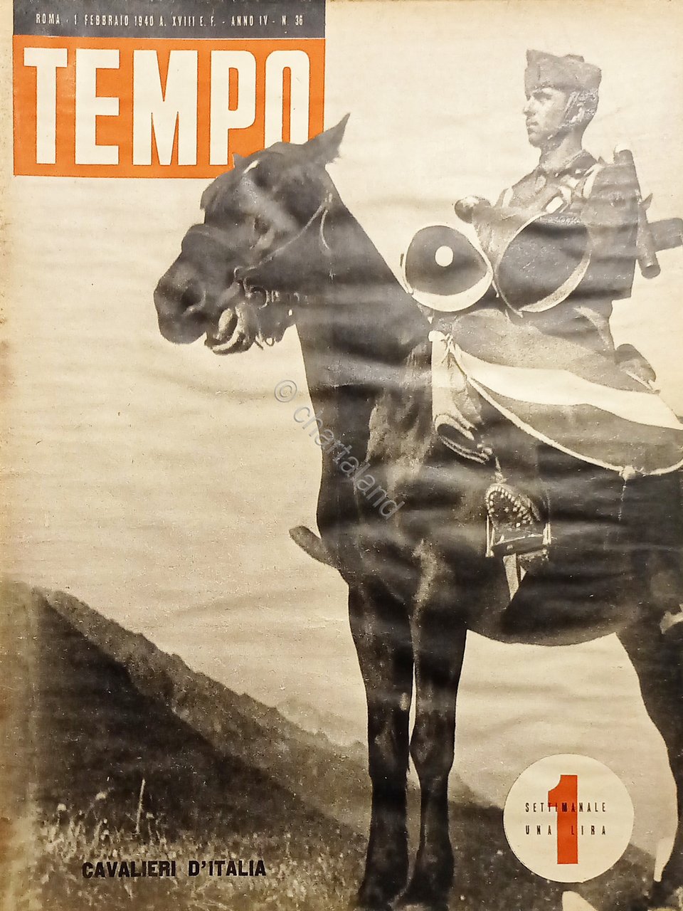Rivista WWII - Tempo N. 36 - Cavalieri d'Italia - …