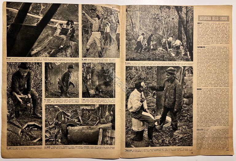 Rivista WWII - Tempo N. 38 - 1940 Resistenza finnica