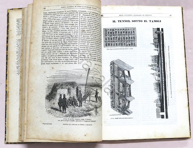 Scienza Rivista Museo scientifico, letterario, artistico - Annata completa 1842 | Immagine Gallery 5