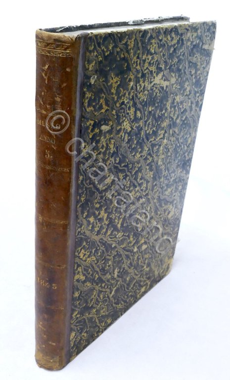 Scienza Rivista Museo scientifico, letterario, artistico - Annata completa 1843 | Immagine Gallery 3