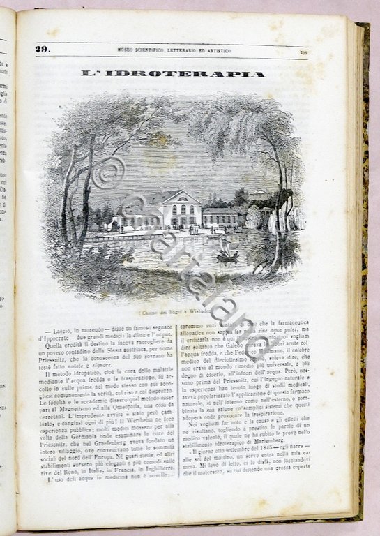 Scienza Rivista Museo scientifico, letterario, artistico - Annata completa 1846 | Immagine Gallery 6