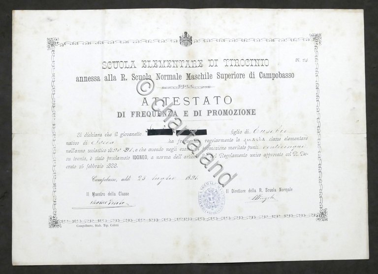 Scuola Normale Maschile Superiore di Campobasso - Attestato di Promozione …