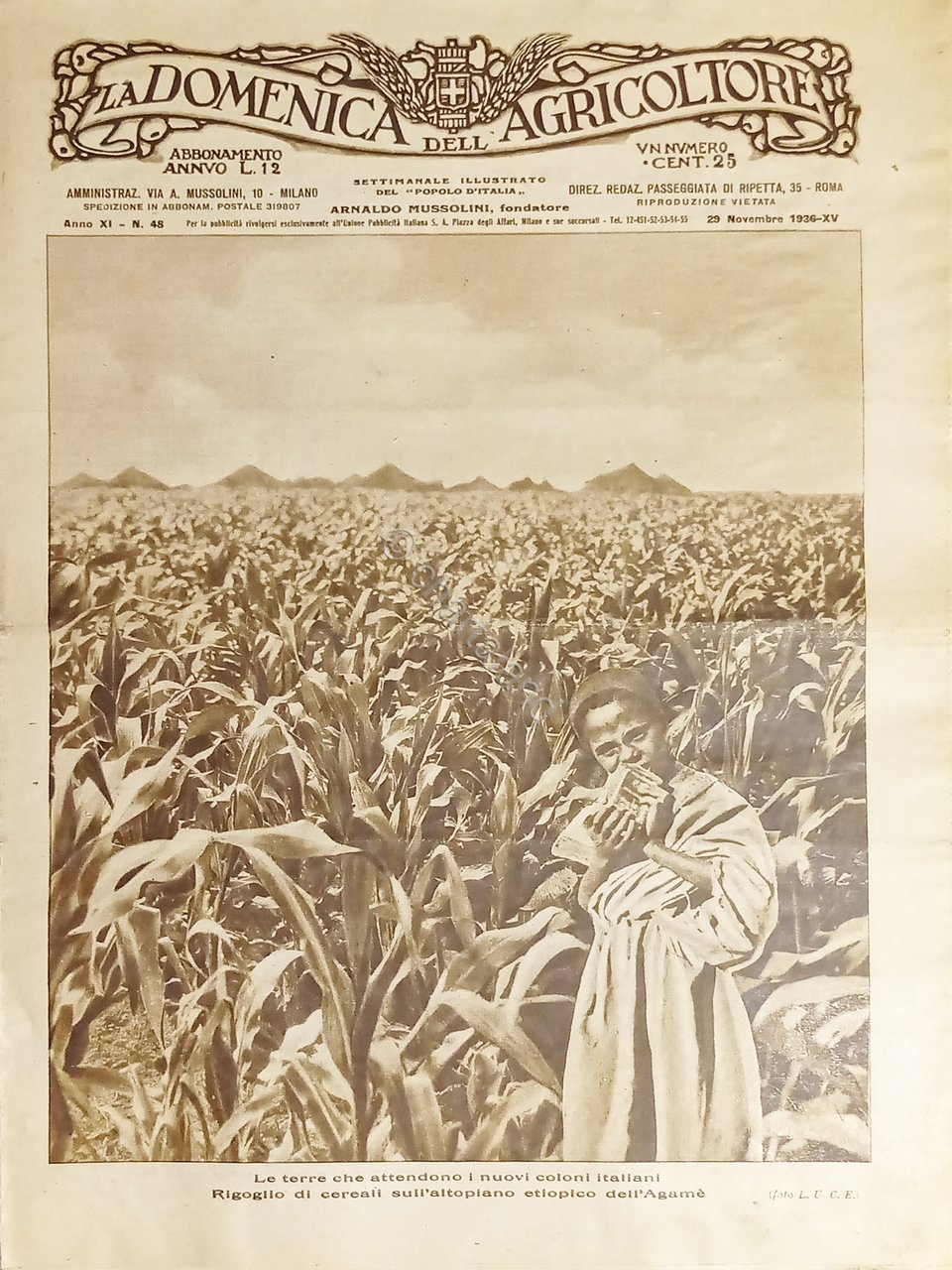 Settimanale di A. Mussolini - La Domenica dell'Agricoltore N. 48 …