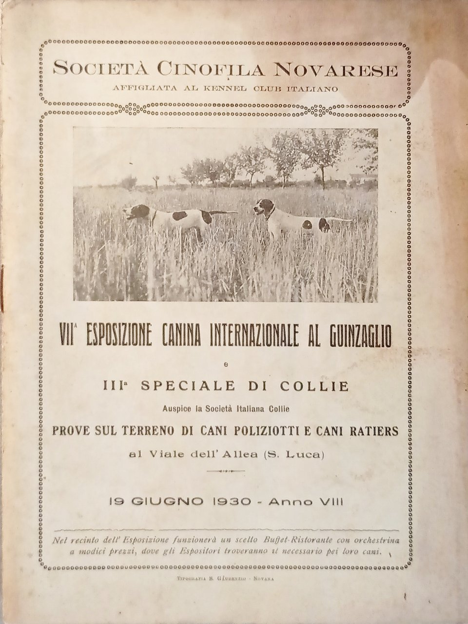 Società Cinofila Novarese - VII^ Esposizione Canina Internaz. al Guinzaglio … | Immagine principale