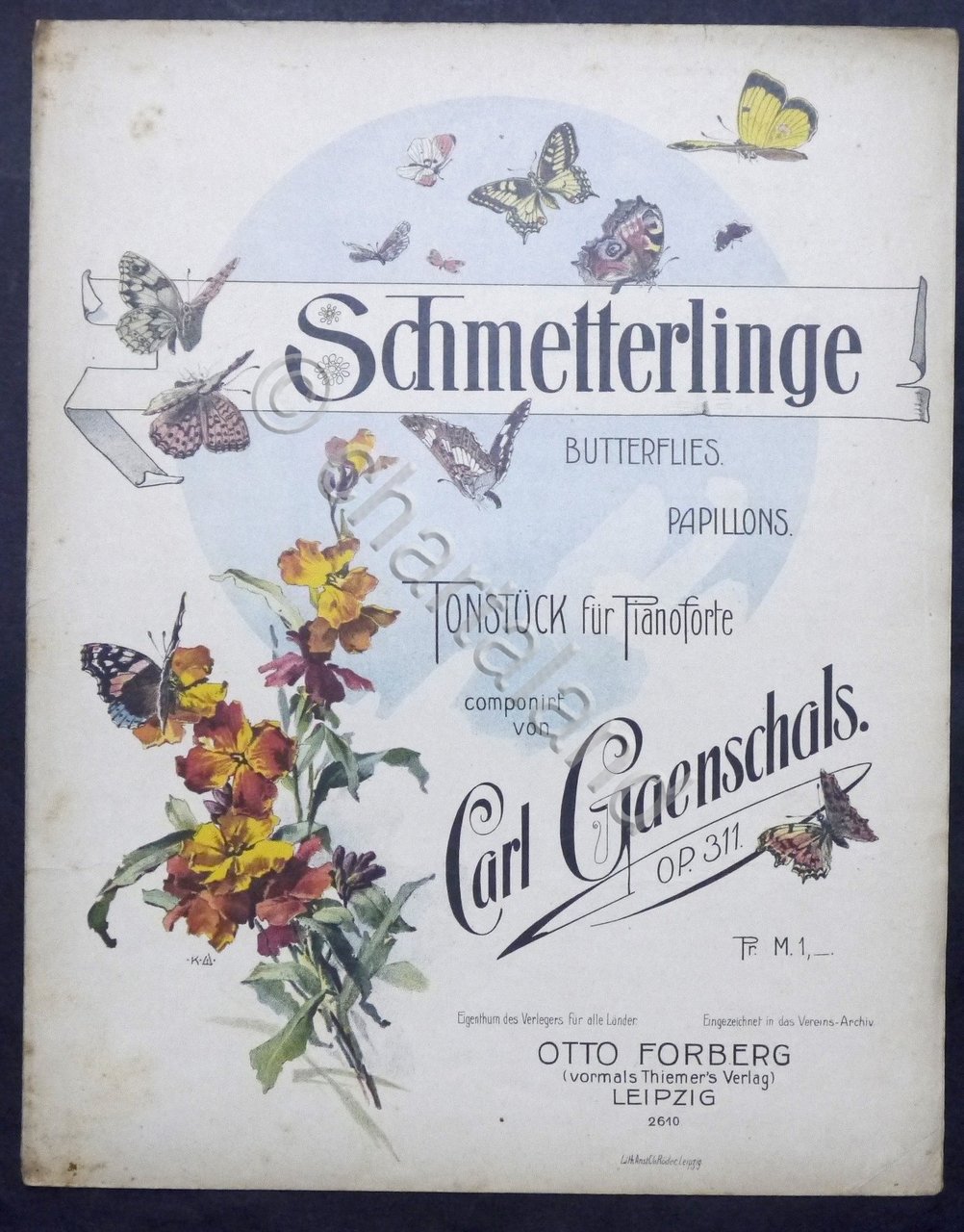 Spartiti - C. Ganschals - Schmetterlinge (Butterflies) - Tonstuck fur …