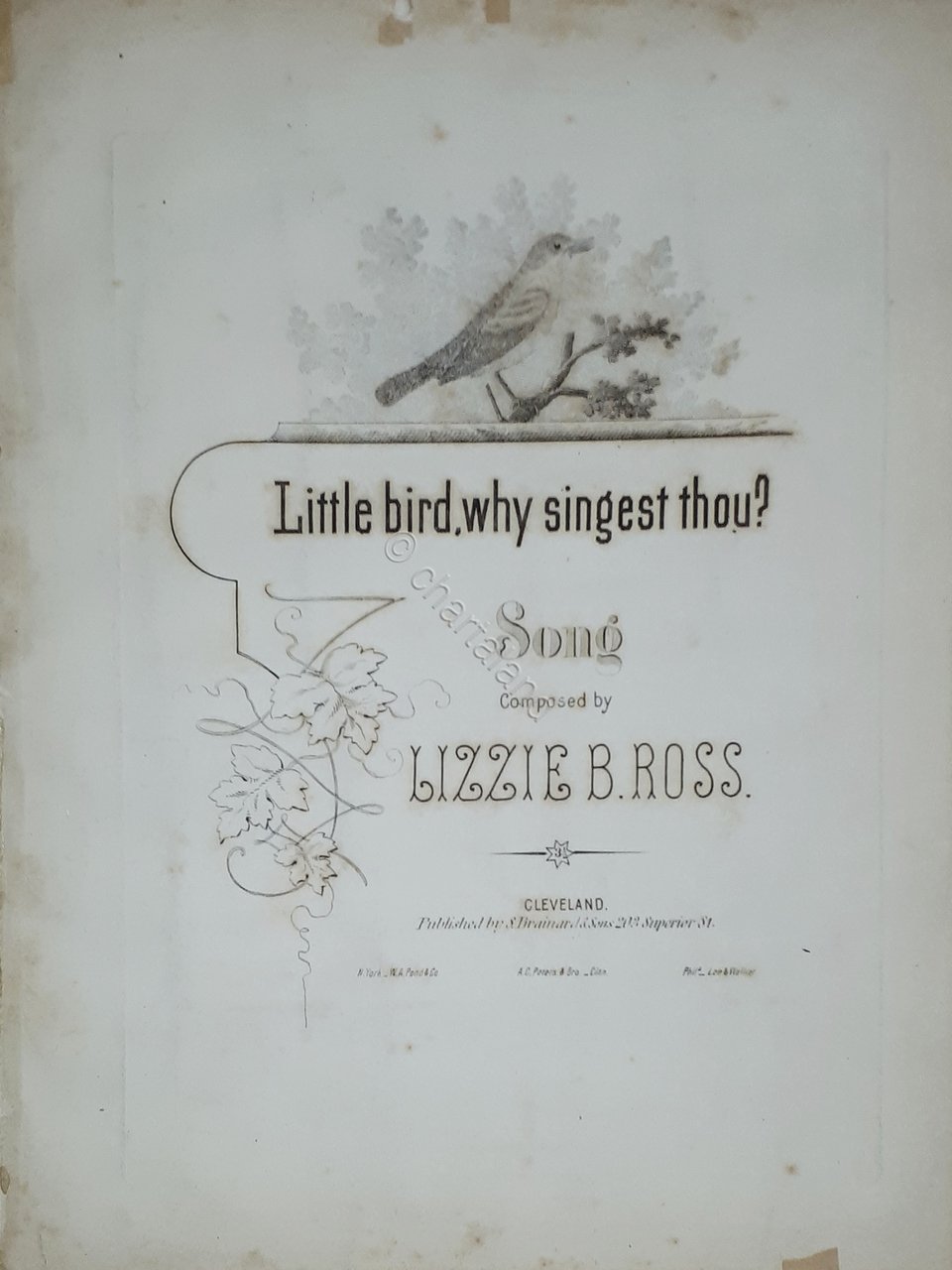 Spartiti - Little bird, whay singest thou? - Song by …