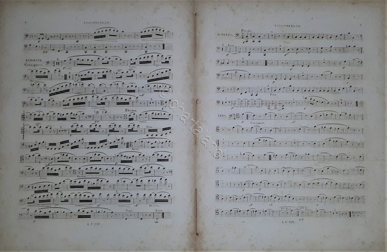 Spartiti Violoncelle 3^Trio pour Piano Violon et Violoncelle Reissiger Fine …