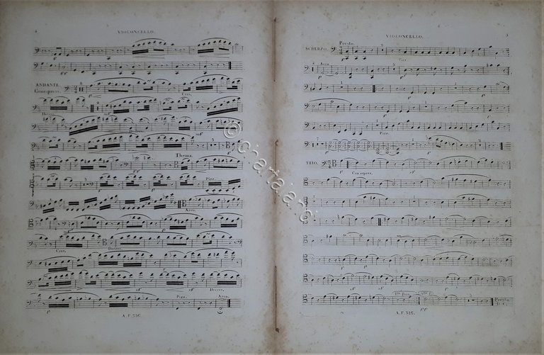 Spartiti Violoncelle 3^Trio pour Piano Violon et Violoncelle Reissiger Fine …