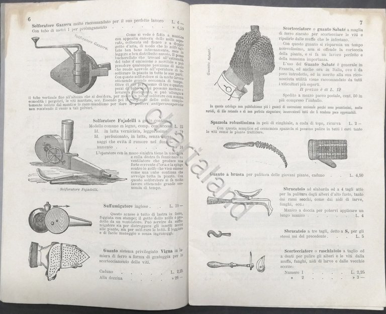 Stabilimento Agrario Barbero - Torino - Catalogo di Viticoltura ed …