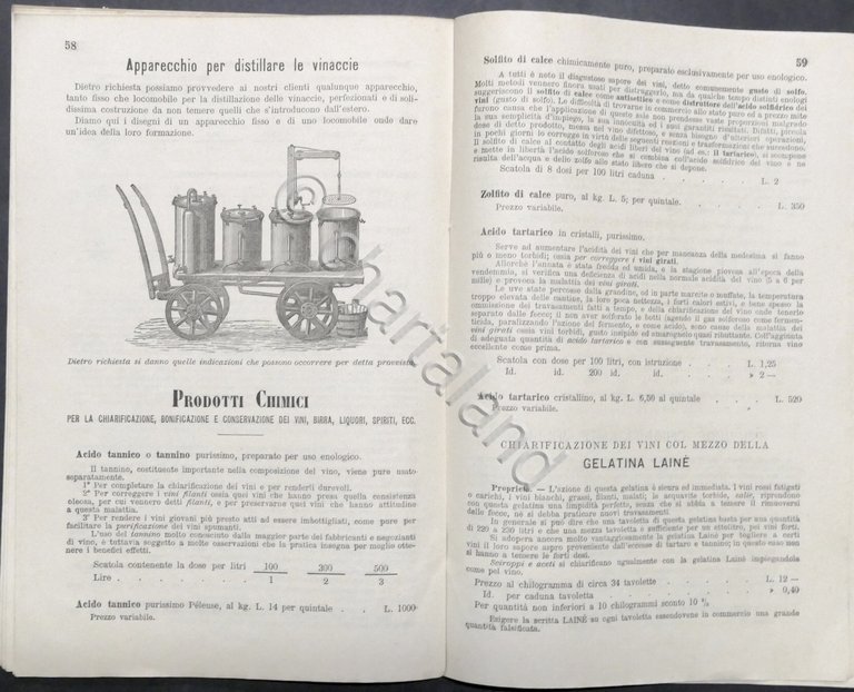 Stabilimento Agrario Barbero - Torino - Catalogo di Viticoltura ed …