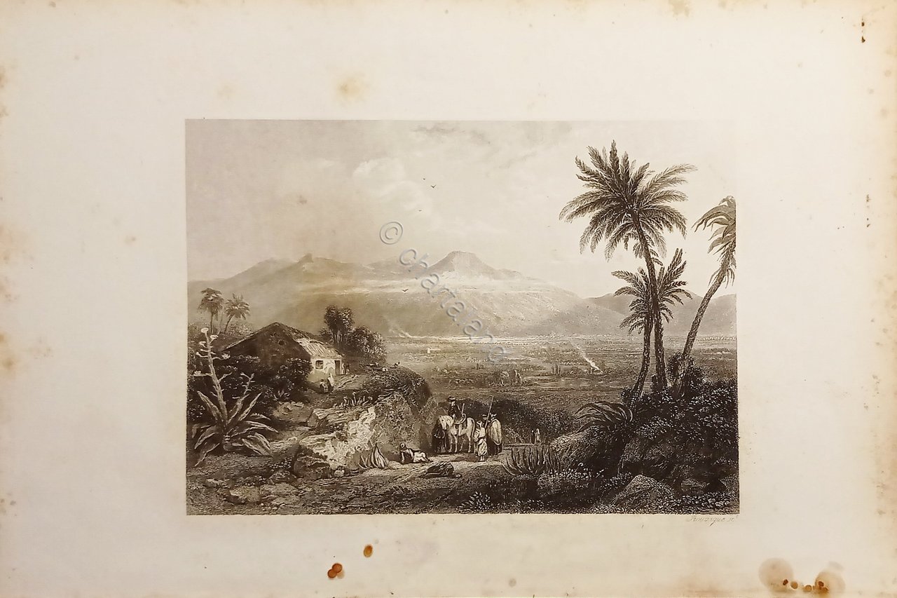 Stampa d'Epoca - Grecia - Pianure di Argo - Secolo …