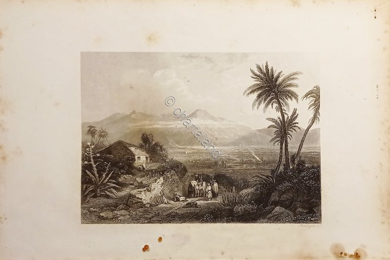 Stampa d'Epoca - Grecia - Pianure di Argo - Secolo …