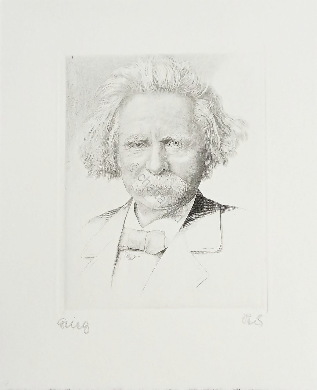 Stampa da incisione - Compositore Edvard Hagerup Grieg - Sec. …