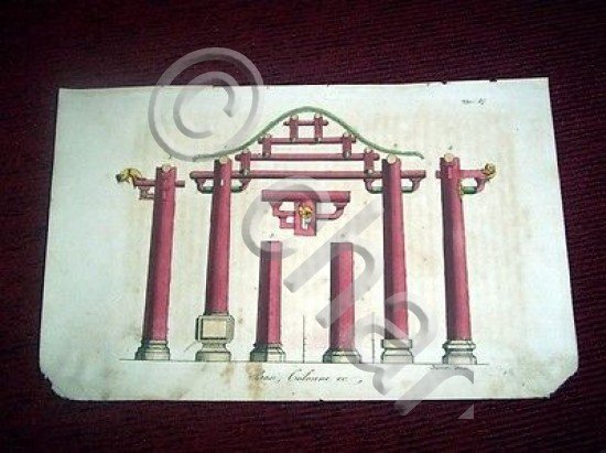 Stampa Incisione Architettura Asia - Basi e Colonne ( incisore Bernieri  ) 1800