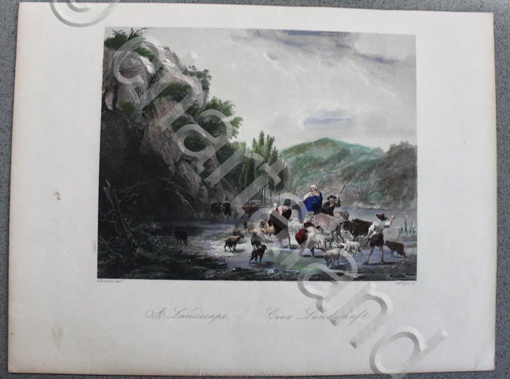 Stampa Incisione da opera di Berchem - Un paesaggio - …