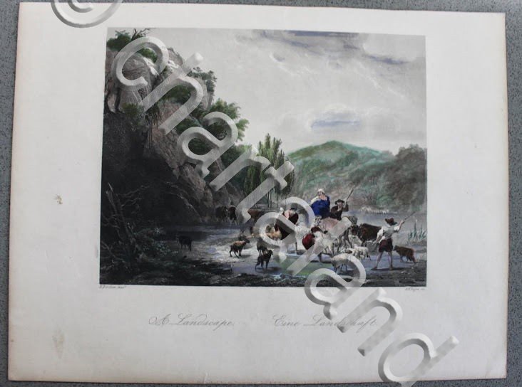 Stampa Incisione da opera di Berchem - Un paesaggio - …