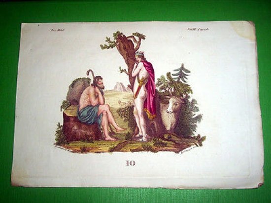 Stampa Incisione Mitologia - IO ( incisore Bernieri ) - … | Immagine principale