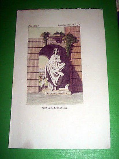 Stampa Incisione Mitologia - NEALLENIA - 1700 ca