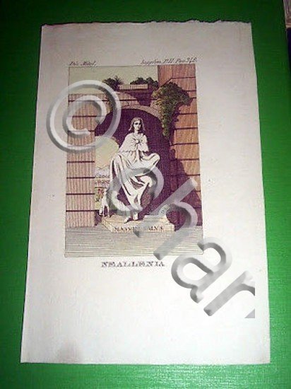 Stampa Incisione Mitologia - NEALLENIA - 1700 ca