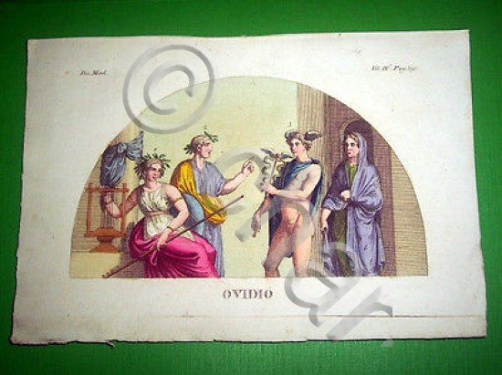 Stampa Incisione Mitologia - OVIDIO - 1700 ca
