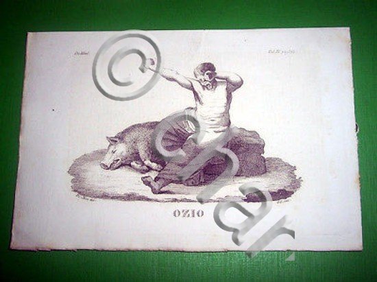 Stampa Incisione Mitologia - OZIO ( incisore G. C. ) …