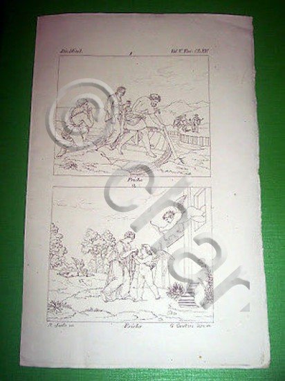 Stampa Incisione Mitologia - PSICHE ( incisore G. Carattoni ) …