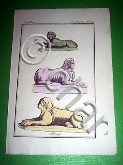 Stampa Incisione Storia e Mitologia - SFINGI - 1700 ca