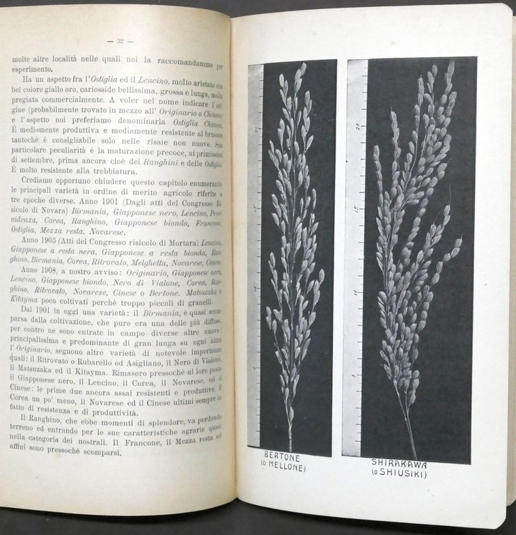 Stazione sperimentale di risicoltura - Vercelli - Annuario 1908 RARO