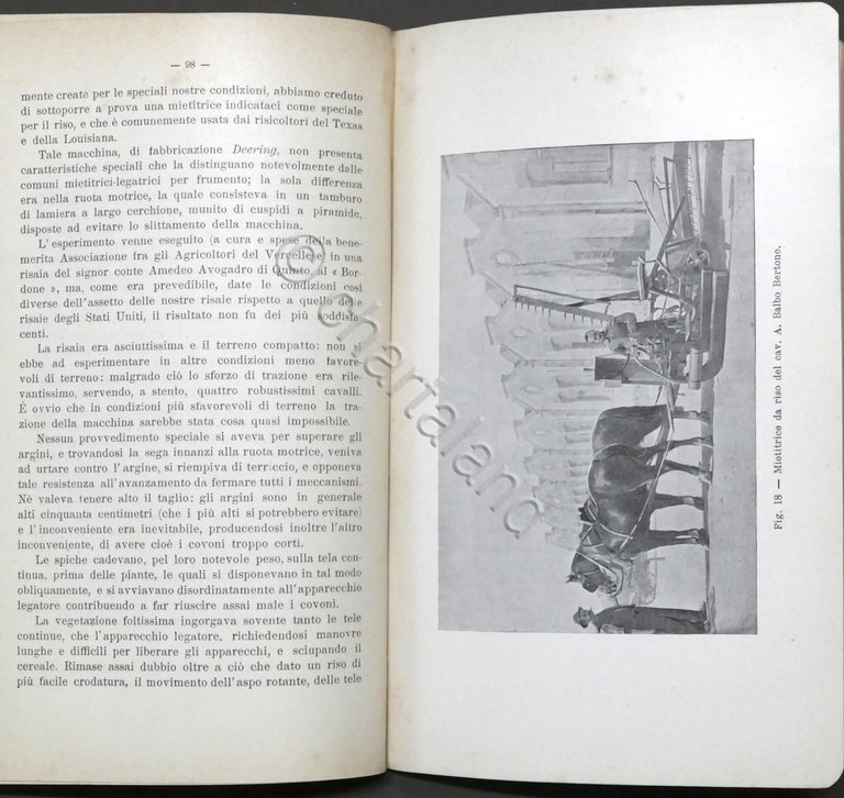 Stazione sperimentale di risicoltura - Vercelli - Annuario 1908 RARO
