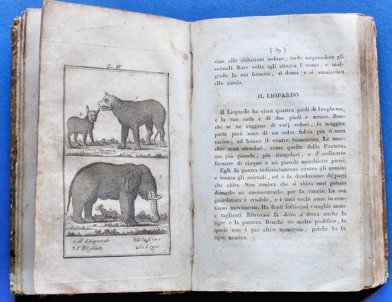 Storia Naturale di Buffon ad uso della gioventù italiana - … | Immagine Gallery 3