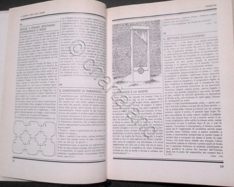 T. Parmeggiani - C. E. Santelia - Il Grande Libro …
