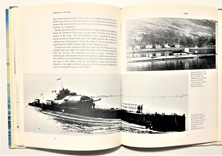 Terry C. Treadwell - Submarines with Wings - ed. 1985 | Immagine Gallery 4