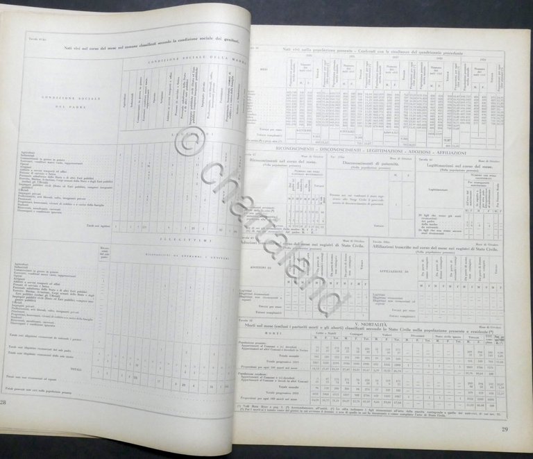 Torino - Bollettino Mensile di Statistica - Anno XVIII - …