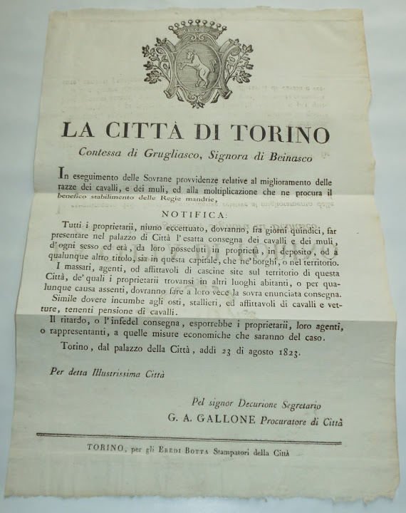 Torino Obbligo di Consegna Cavalli e Muli x Miglioramento Razza …