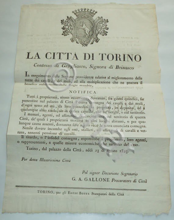 Torino Obbligo di Consegna Cavalli e Muli x Miglioramento Razza …