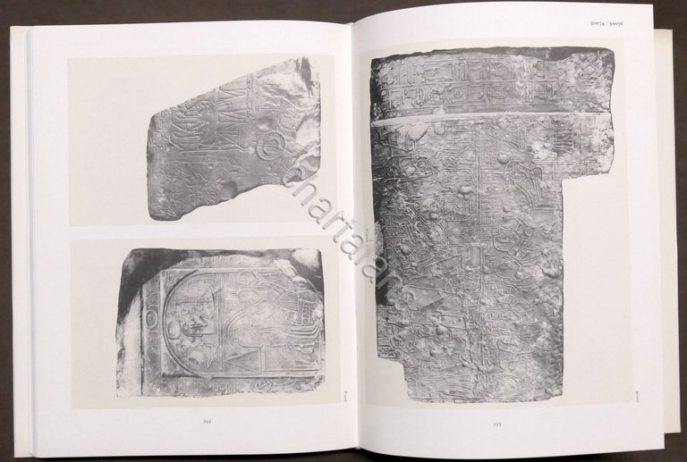 Tosi, Roccati - Stele e epigrafi di Deir el Medina … | Immagine Gallery 4