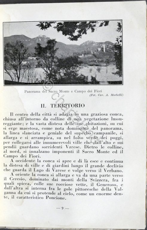 Varese - Guida turistica della città e dintorni - Edizione …