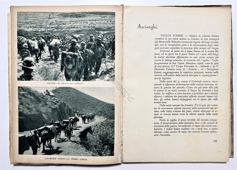Ventennio - G. Mattioli e G. Peroli - ...Grazie a …